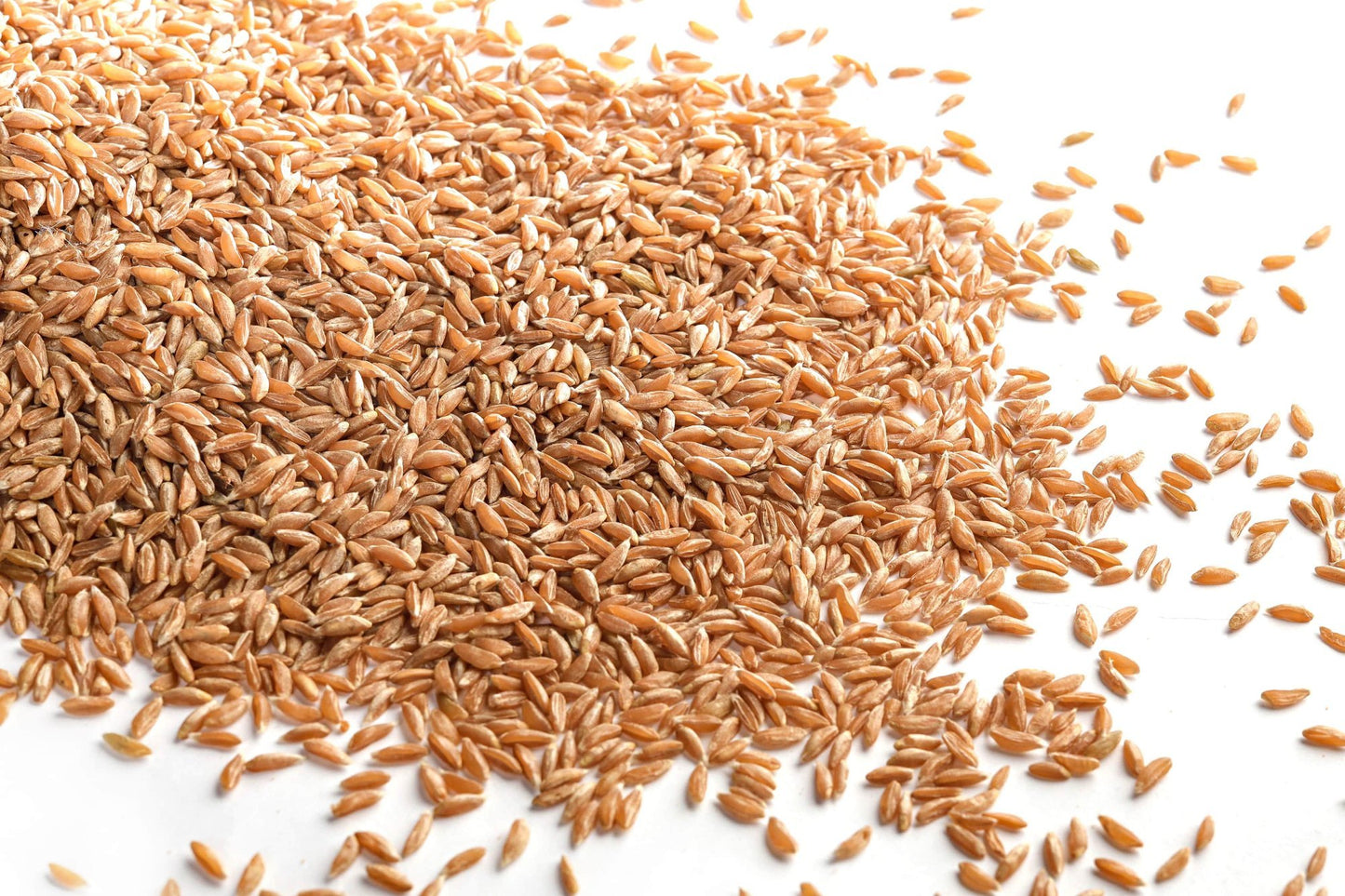 KHAPLI WHEAT 30kg Bag