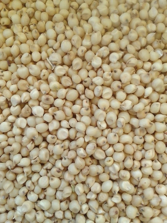 White sorghum grain 30kg bag